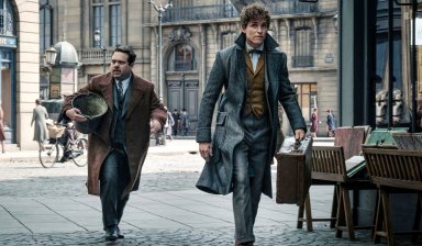 кадр из фильма Фантастические твари и где они обитают