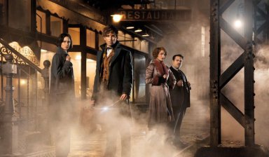 кадр из Фантастические твари и где они обитают