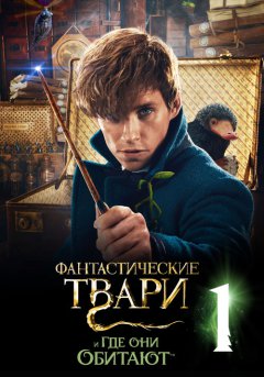 постер Фантастические твари и где они обитают